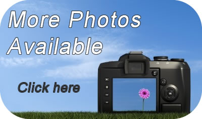 Book Hallane Mill online
